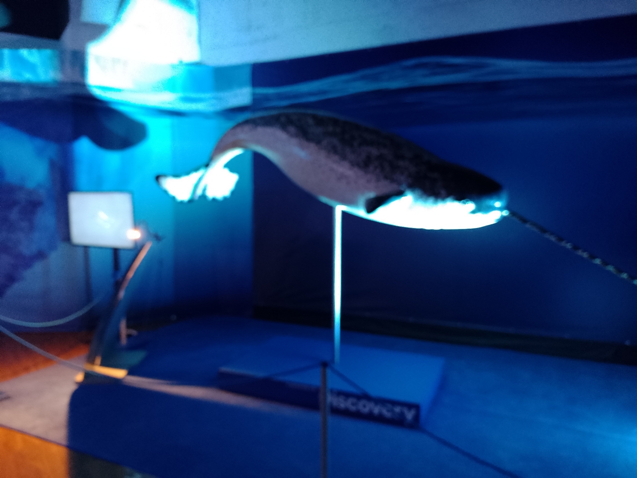 Obři oceánů Obři oceánů